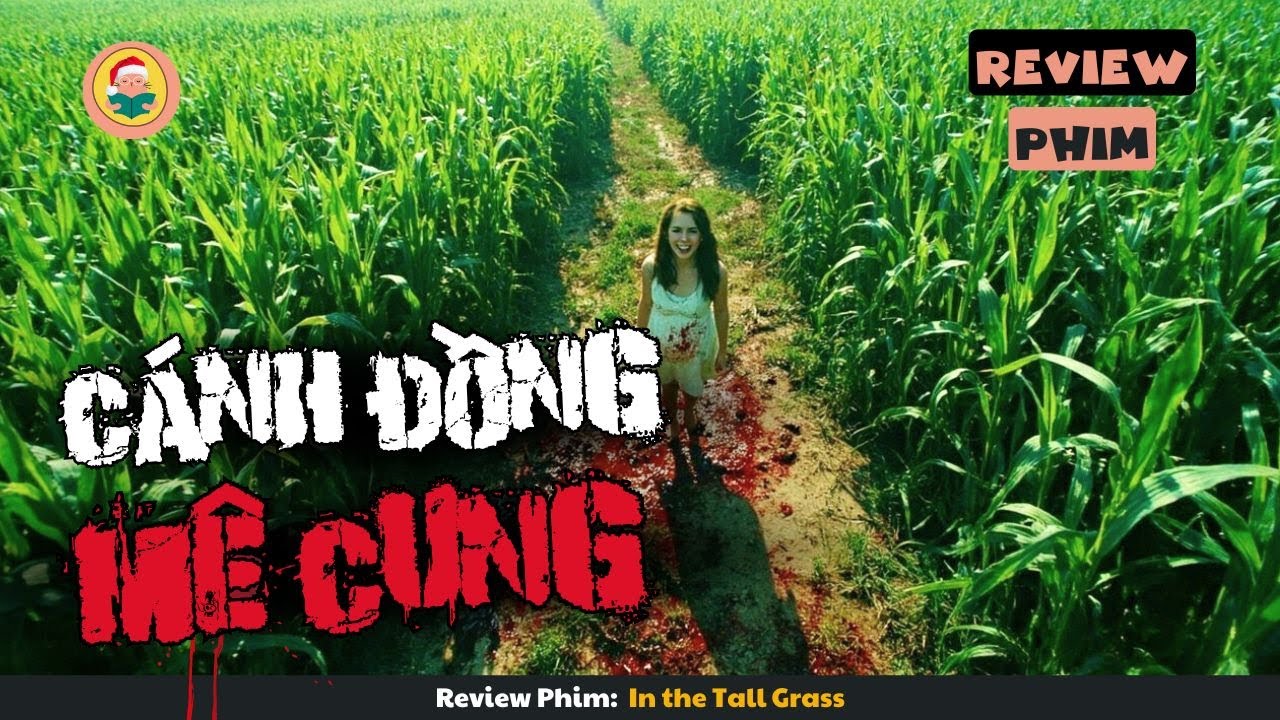 [Review Phim] Khi Bạn Lạc Vào Cánh Đồng Vô Tận Và Cái Kết