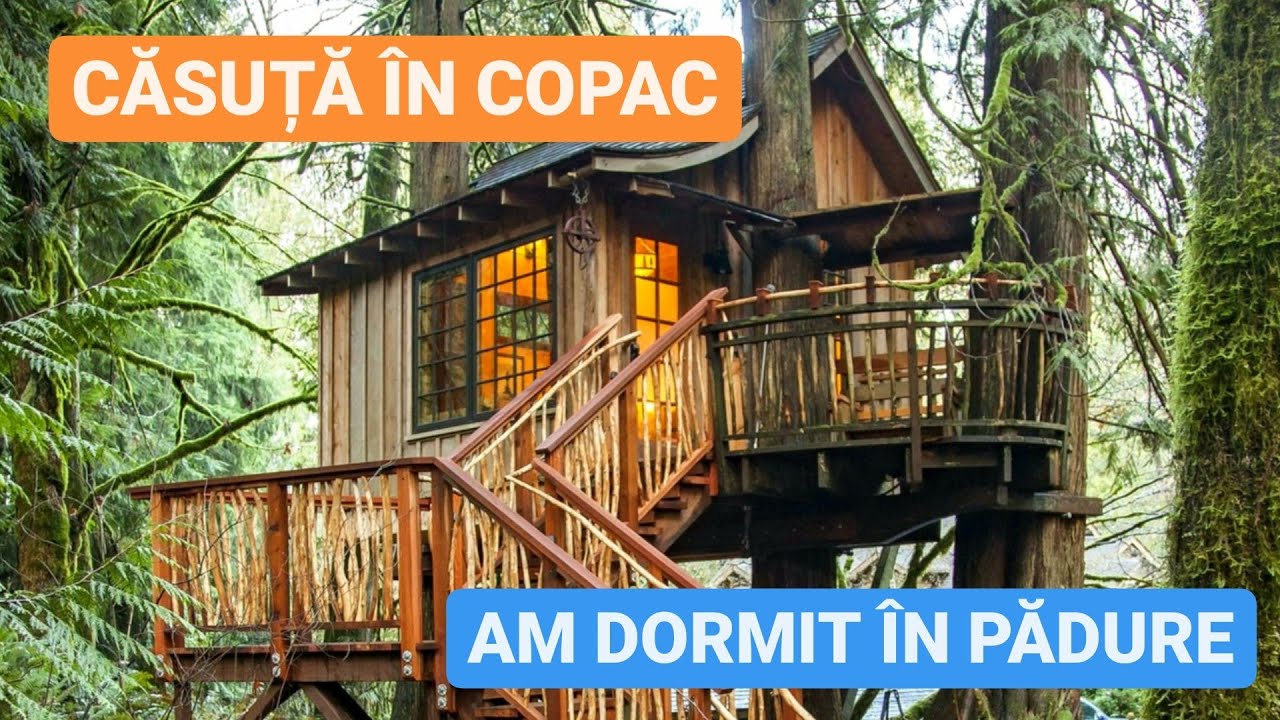 TOP LOCURI de RELAXARE - Parcul Comana, Edenland Park, Gradina Vlahiiei  - Noaptea în Casa din Copac