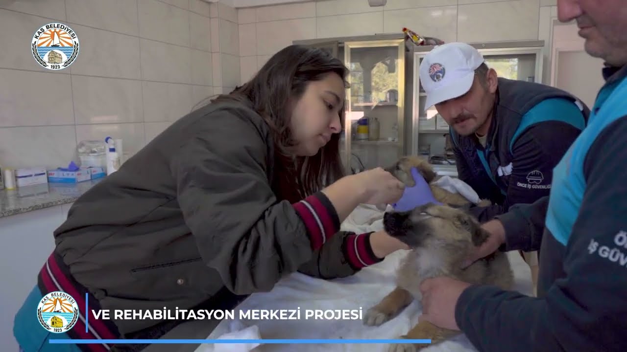 GEÇİCİ HAYVAN BAKIMEVİ VE REHABİLİTASYON MERKEZİ