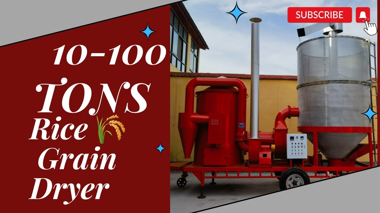10-100 Tons Capacity Industrial Rice 🌾 Grain Dryer/Dry After Parboiled Machine