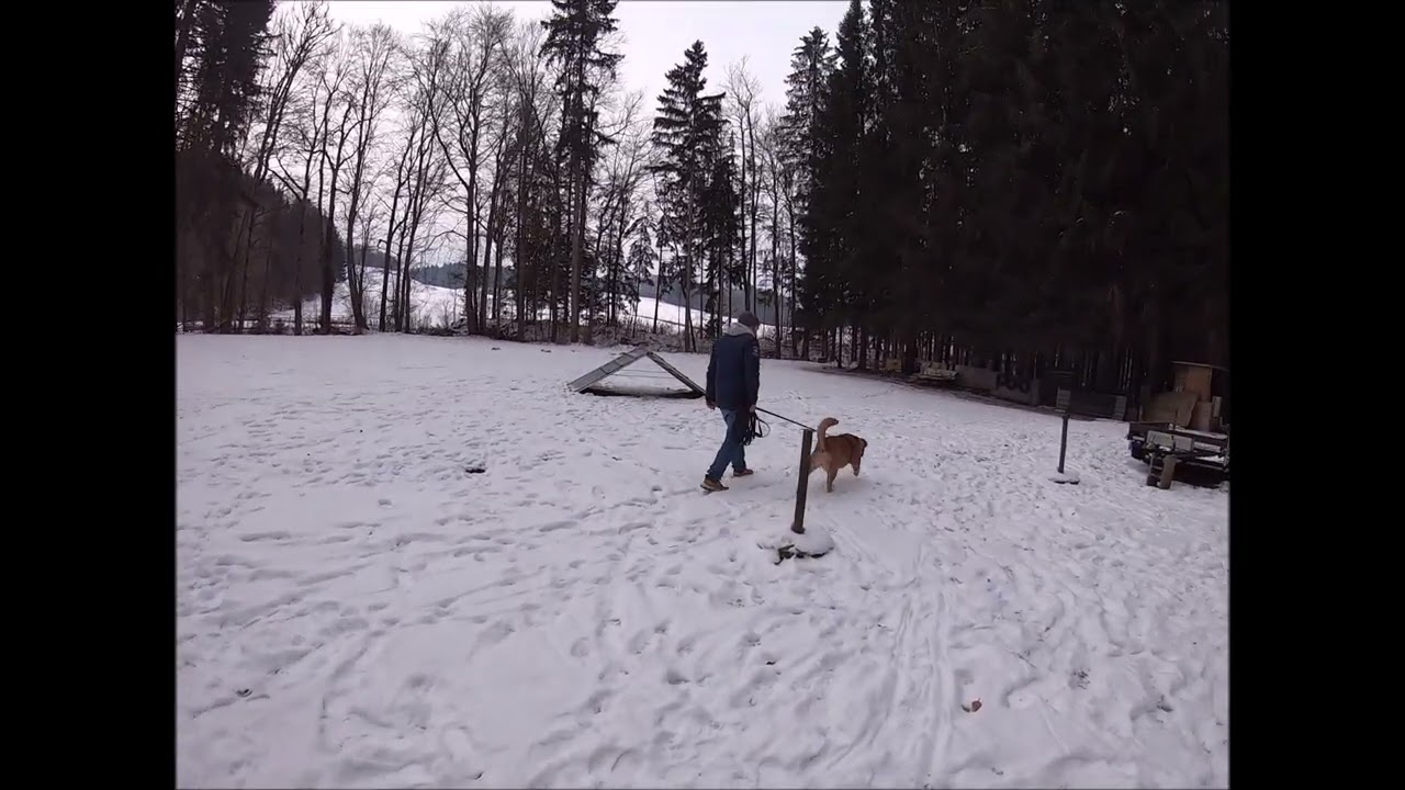 20260106 Hundeplatz zweites Training U Turn ISO