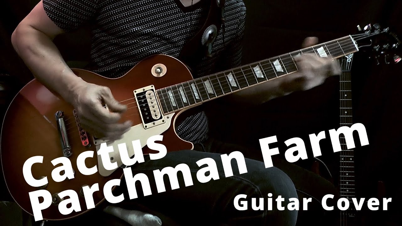 Cactus / Parchman Farm Guitar Cover