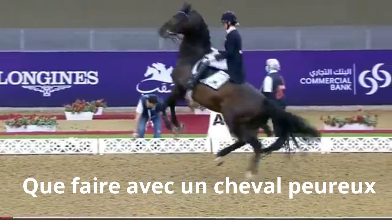 Que faire avec un cheval peureux ?