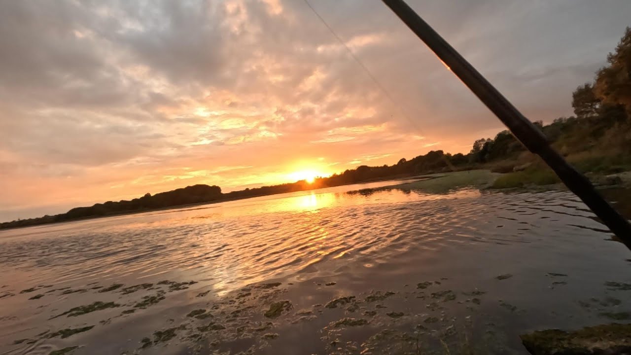 lure fishing for bass studland and holesbay