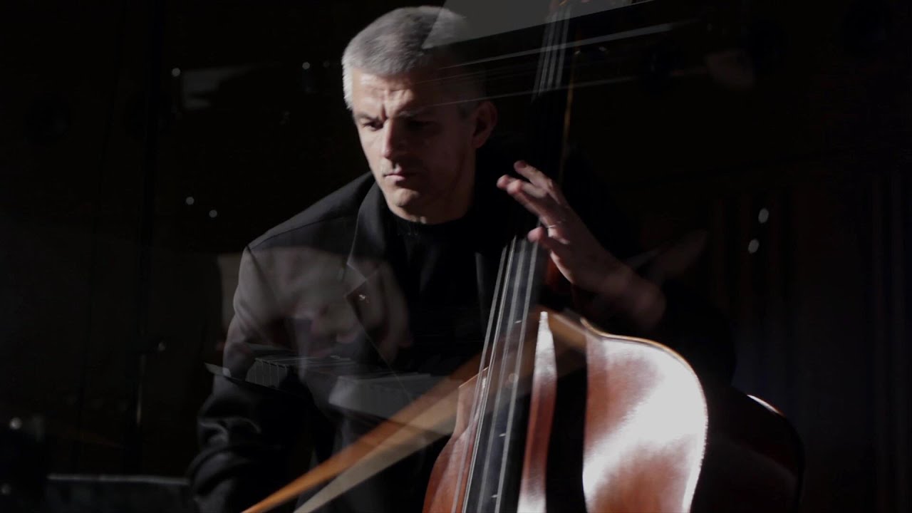 VAŇHAL, Bass Concerto (2.mov) | Božo Paradžik & Budapesti Vonósok