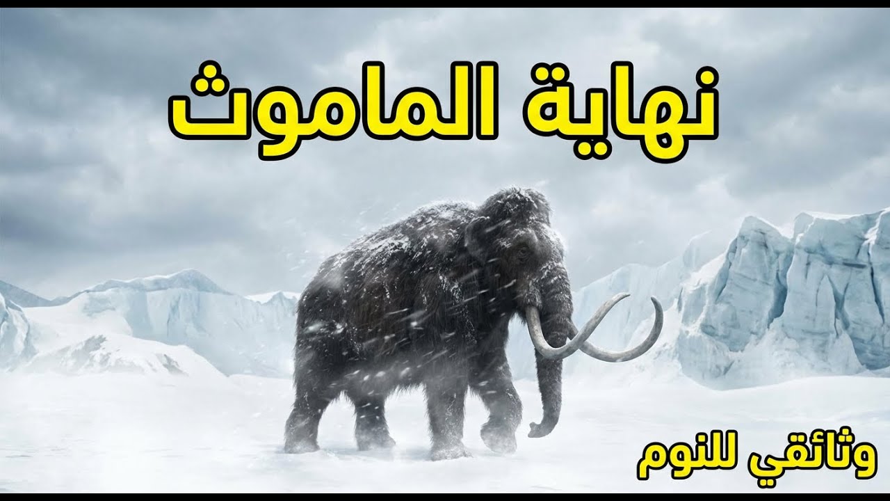 انقراض الماموث في العصر الجليدي… القصة الكاملة | وثائقي للاسترخاء والنوم