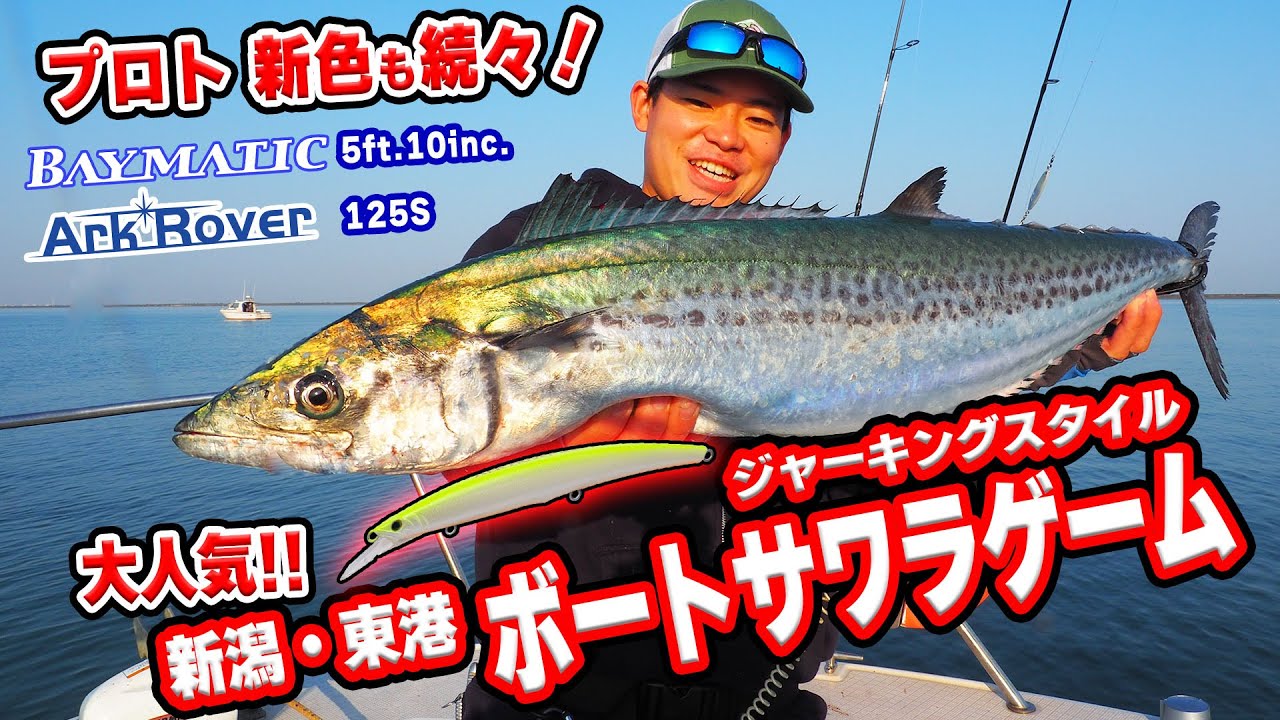 新潟ボートサワラ　アークローバー&ベイマティックで狙う東港のサワラ