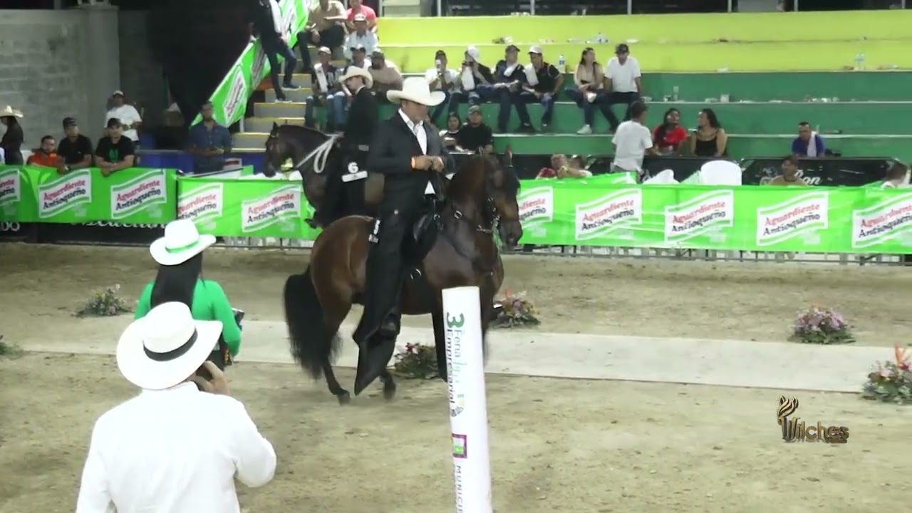 DOBLE CAPRICHO DE VILLA TOSCANA, GRAN CAMPEÓN TROCHA COLOMBIANA  LA VIRGINIA GRADO B 2026