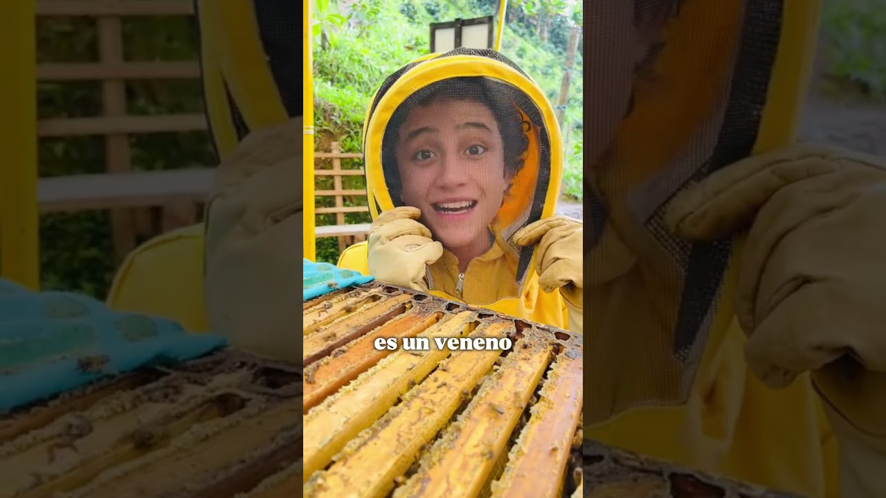 🏺 Descubren miel intacta en tumba egipcia 🍯