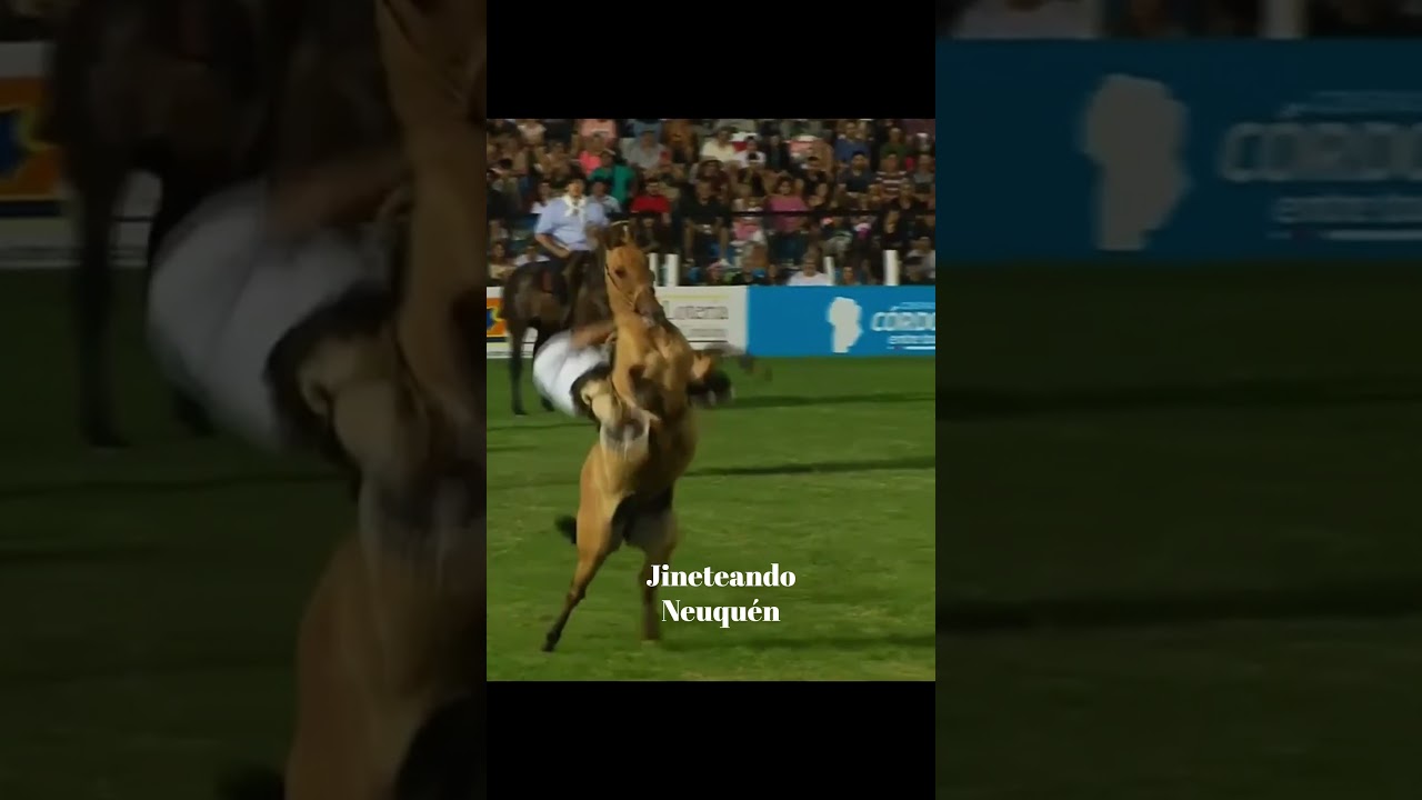 Diego Rionda vs 