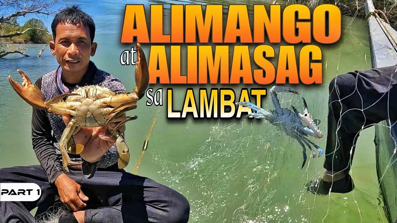P1-ALIMANGO AT ALIMASAG - EP1269