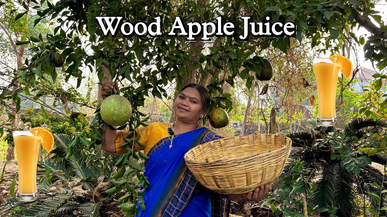 Wood Apple Delights: Sherbet, Namkeen & Pulse | Village Summer Drink 