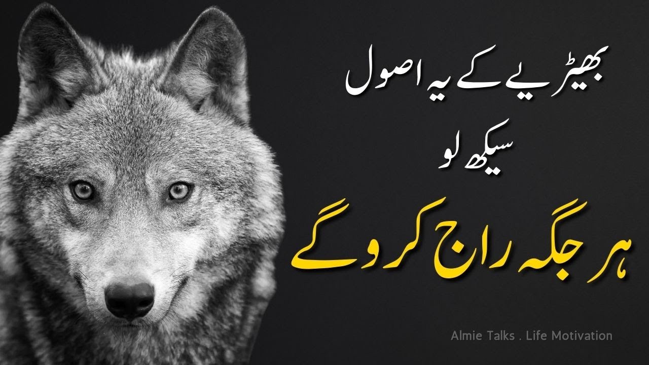 Wolf Mindset Psychology: 8 Silent Rules That Make You Unshakeable | Emotional Talk | Almie Talk’s