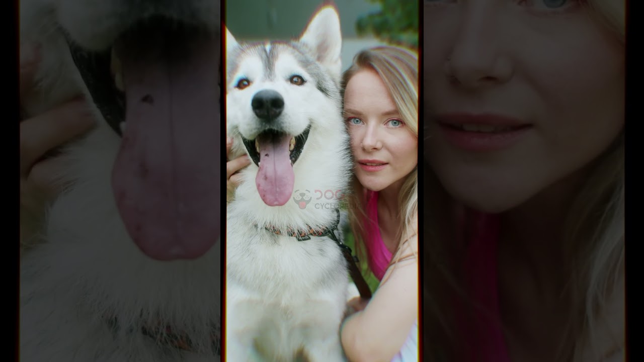 Huskies and Wolves: Striking Similarities Explored in a Minute!