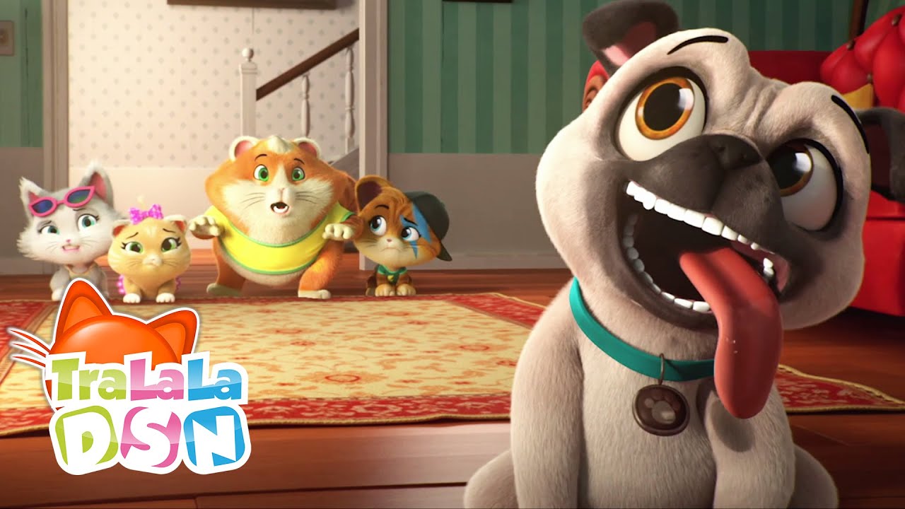 Un prieten câine 🐕 | 44 de Pisici | Desene animate în română - TraLaLa
