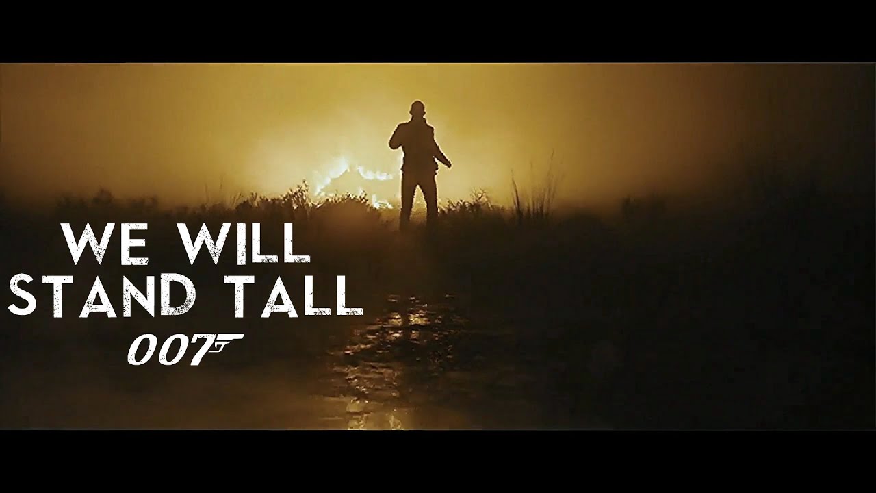 Skyfall - We Will Stand Tall