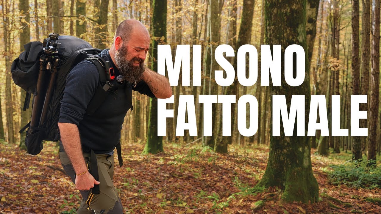 niente come da programma nella foresta della Verna - fotografia paesaggistica