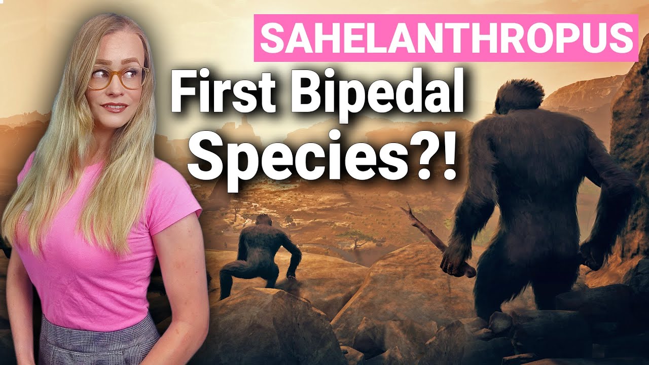 Hominids Walked Upright 7 Million Years Ago