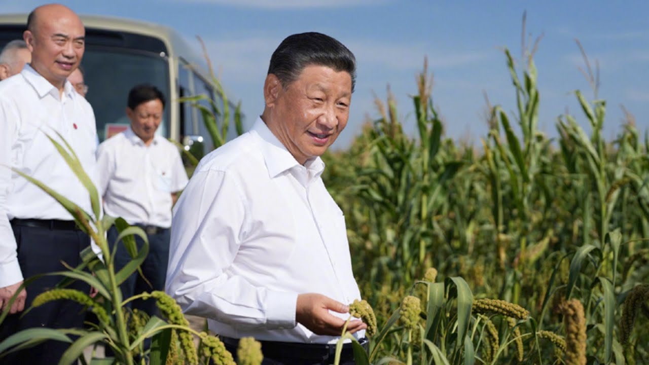 Xi Jinping inspects northwest China's Shaanxi Province