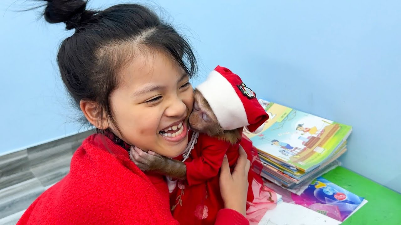 Quynh thanks Kaka Monkey for the Christmas gift he gave her