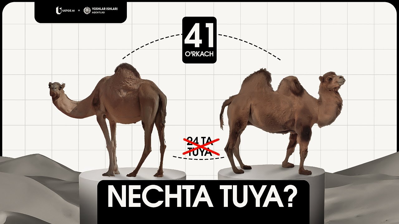 Murakkab masalalar yechish | 5-sinf Matematika #17