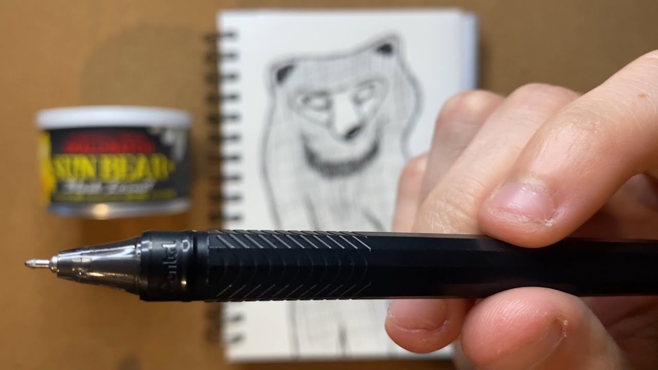 Drawing a Sun Bear with a Pentel EnerGel Pen