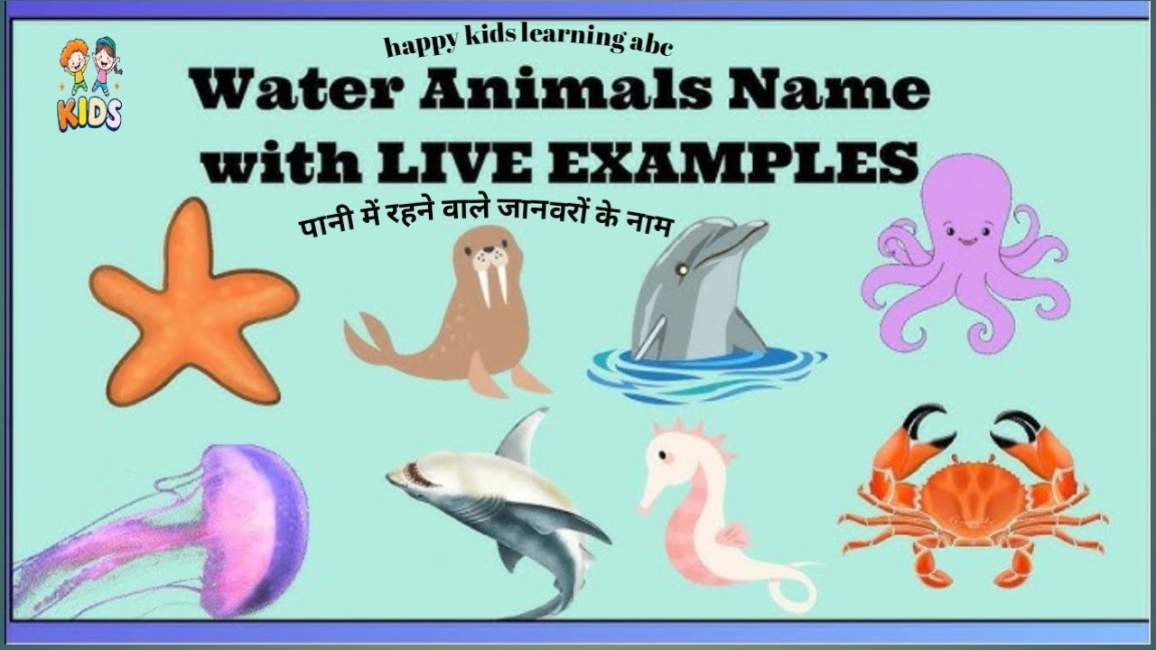 🐧🐟इस वीडियो में आप जानोगे पानी में रहने वाले जानवरों के नाम 🐳🐳 water animals name