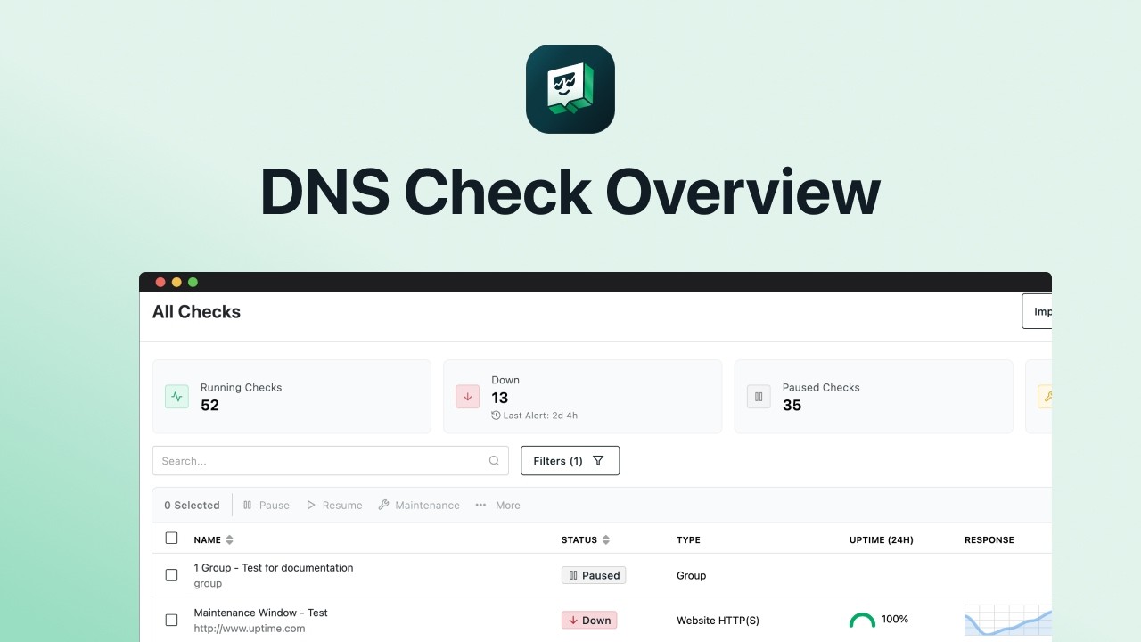DNS Check Overview