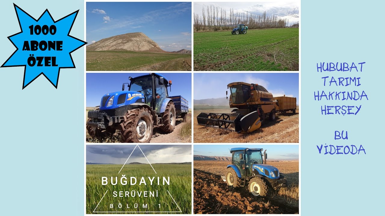Buğdayın Serüveni Belgeseli [Bölüm-1] *1000 Abone Özel* (Buğday Yetiştiriciliği Hakkında Herşey)