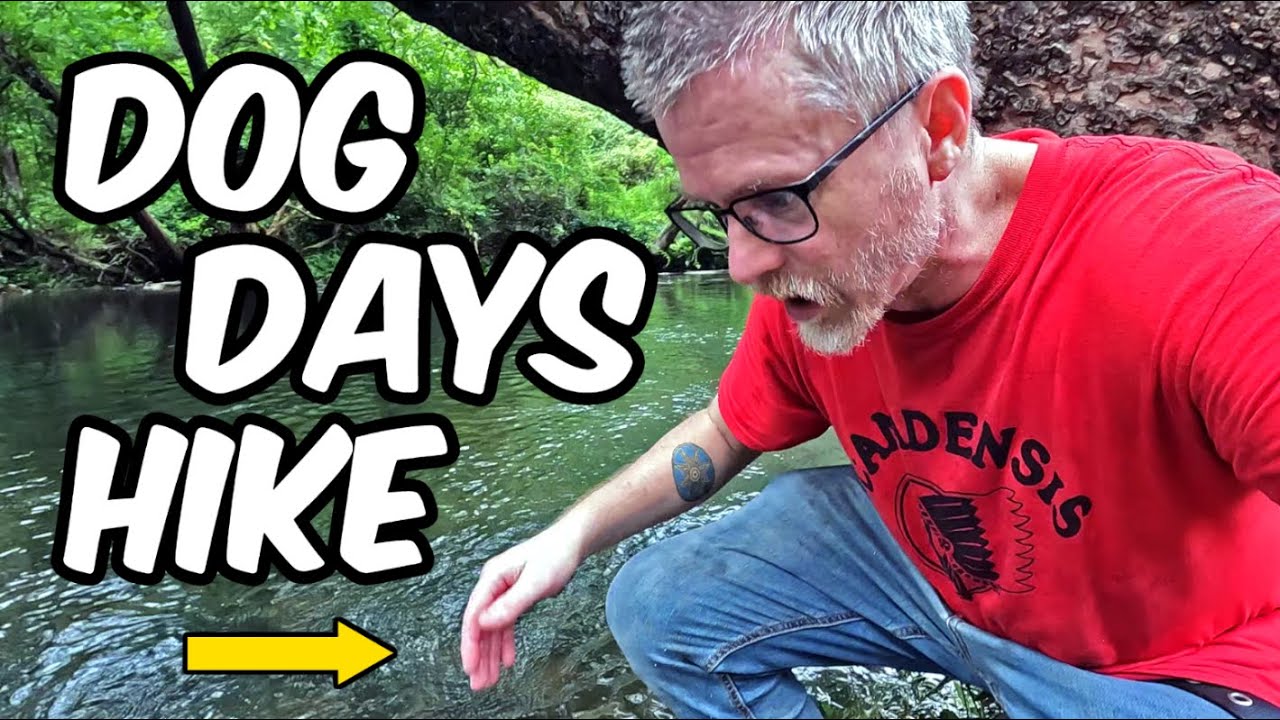 LAZY HIKE down the MINGO BRANCH to cool off by the GUNPOWDER RIVER
