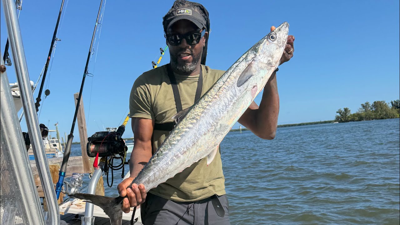 Kingfish is so satisfying to catch