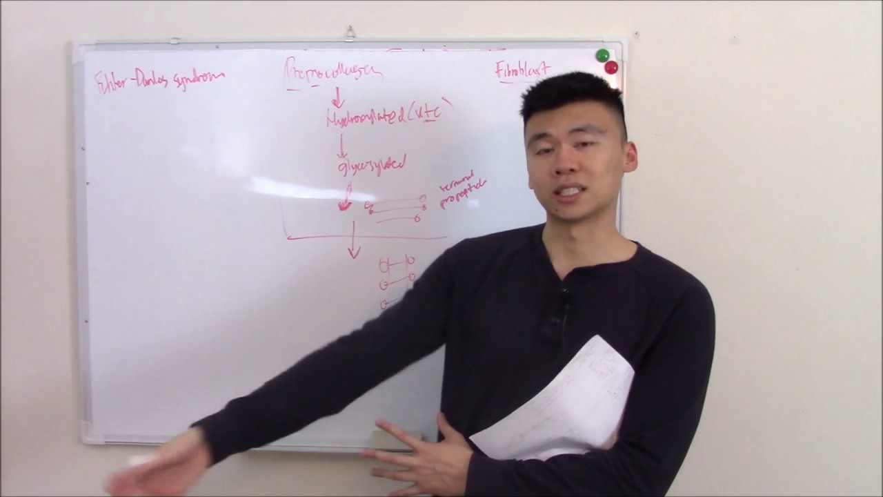 USMLE Biochemistry 13 Connective Tissue: Collagen and Pathology