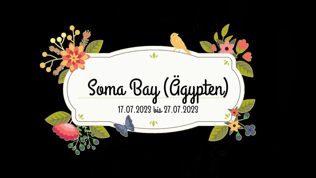 🌴 Unser Urlaub in Ägypten🐪 | Juli 2023 | Hotel Steigenberger Ras Soma ⭐⭐⭐⭐⭐