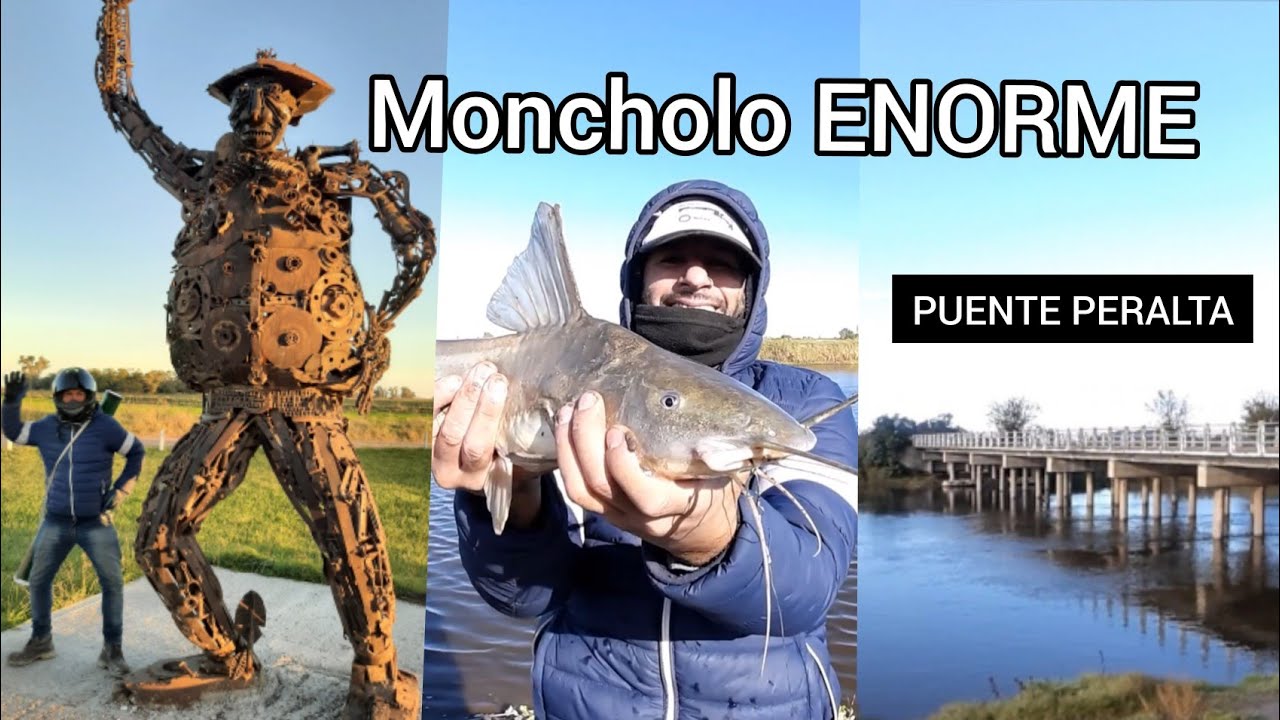 Pesca en PUENTE PERALTA / MONCHOLO enorme / saladillo / Roque perez/ Episodio 20 / MJ-PESCA