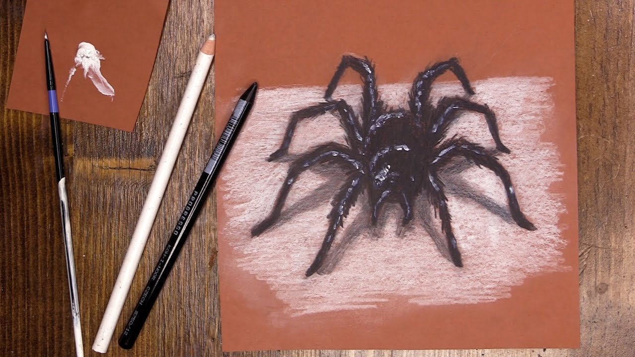 Pencil color spider - Virtual McArt