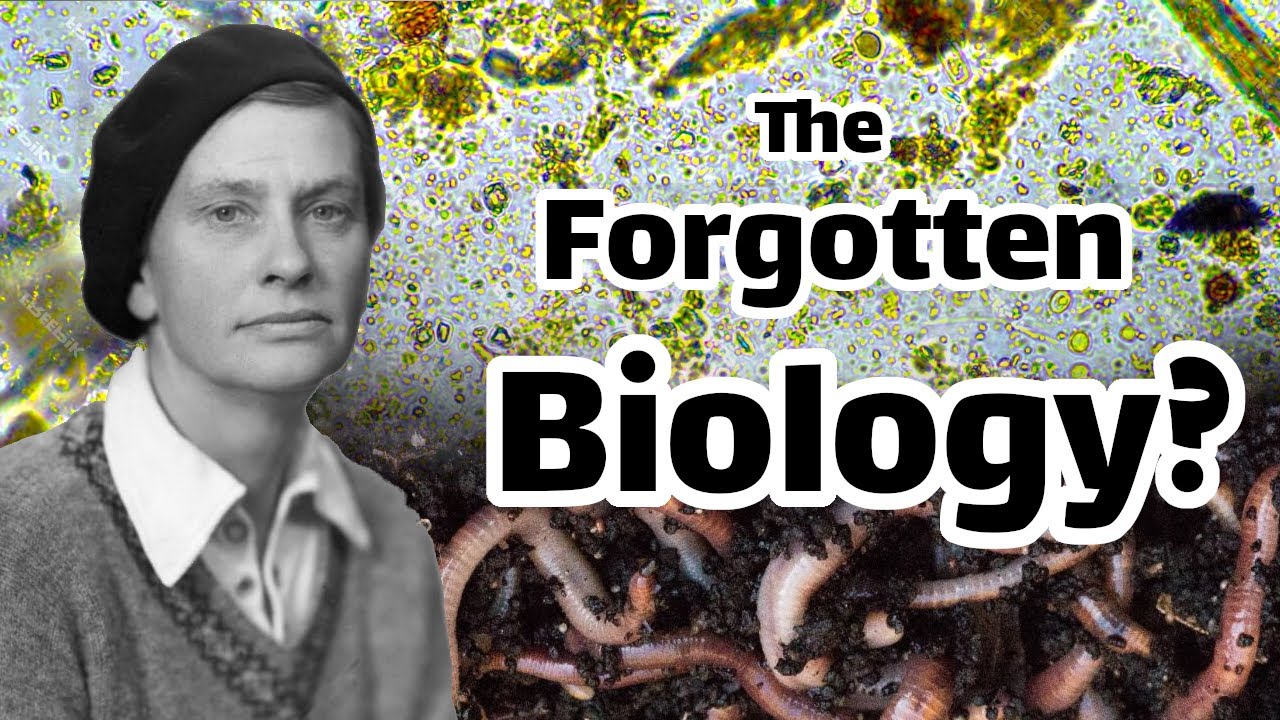 Have Farmers Misunderstood Soil for Decades?