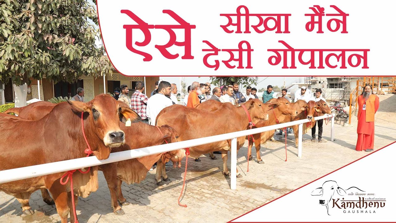 जो देसी गौपालन कामधेनु गौशाला ने सिखाया ज़िंदगी भर काम आएगा | National Training Program Highlights |