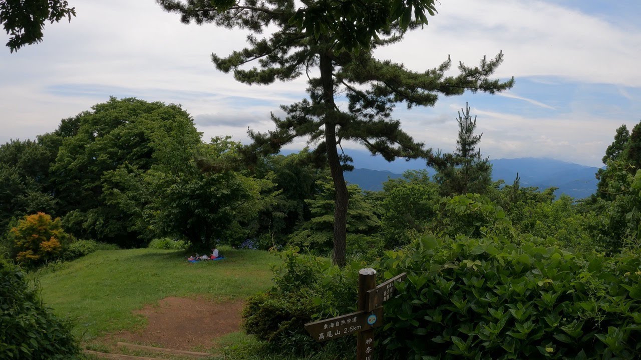 Hiking Mt Shiroyama | TOKYO, JAPAN | A walk in the mountains.