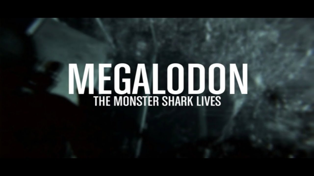 MEGALODON the Monster Shark Lives