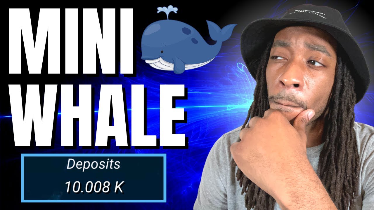 Drip Token Update Mini Whale Status 🐳