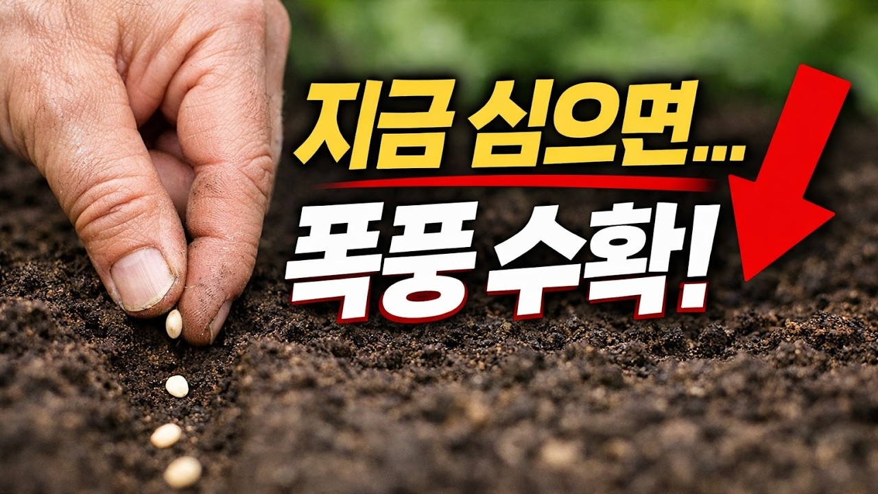 3월 말, 이걸 심으면 텃밭 그냥 망합니다. 99%가 모르는 치명적인 실수