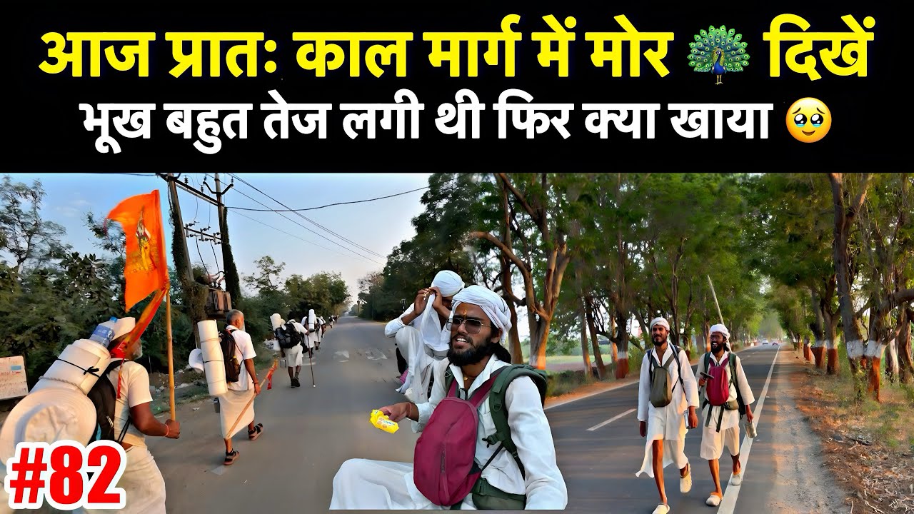 #82 Narmada Parikrama आज सुबह आश्रम से बाहर निकलते ही मोर दिखे, दोपहर में बुरा हाल था ?
