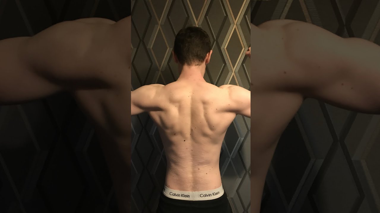 What 4 Months of Newbie Gains Looks Like 👀