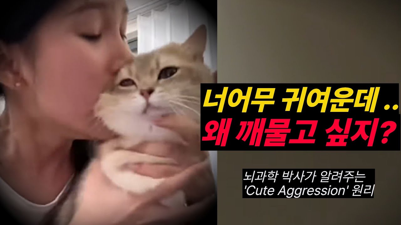 사랑스러운데 깨물고 싶은 이유? 당신의 뇌는 지금 '행복 과부하' 상태입니다