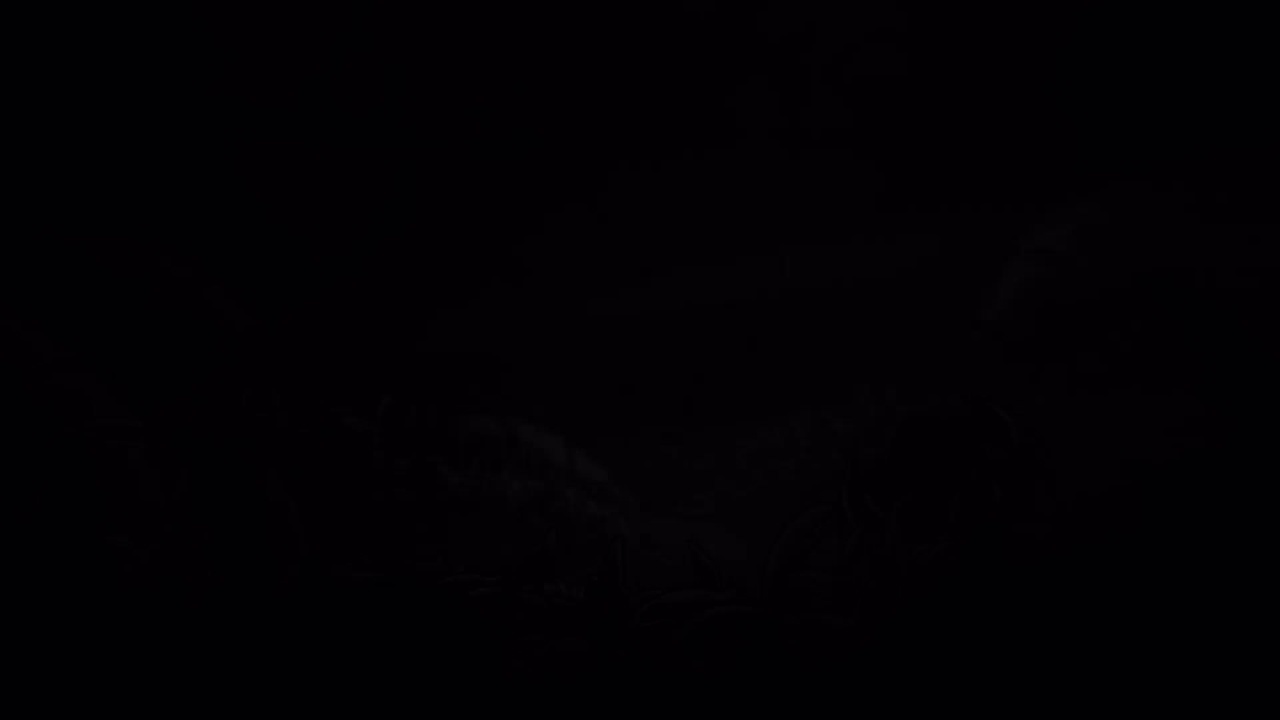 Hollow Knight Phatheons