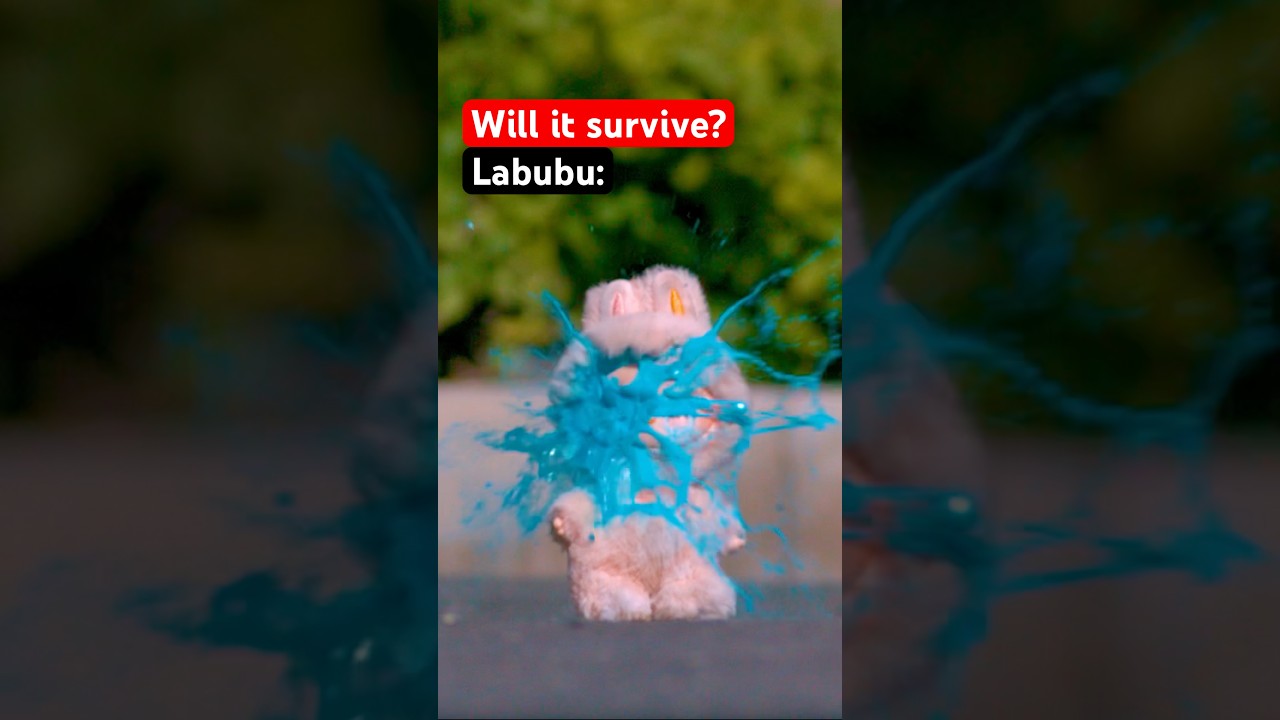 What survives a paintball? 🤔