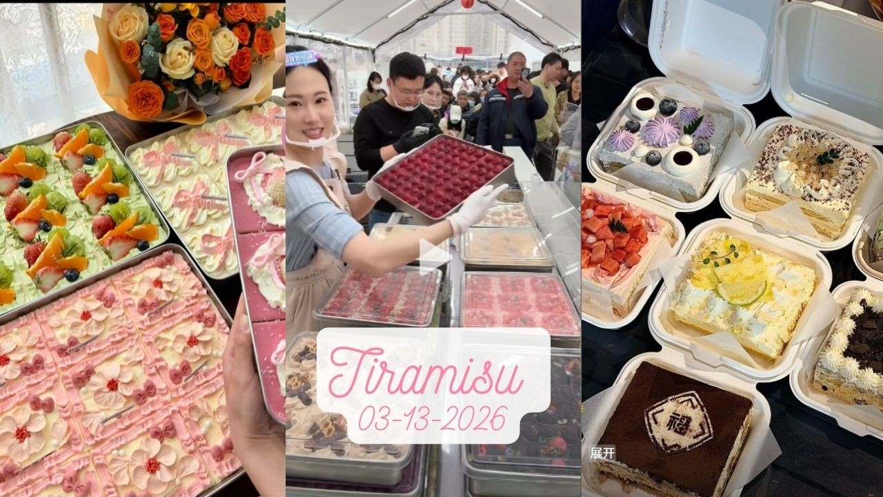 Tiramisu Cake Livestream Sale (80 trays)|Zhao Zhao #03132026 #tiramisu #cake #dessert
