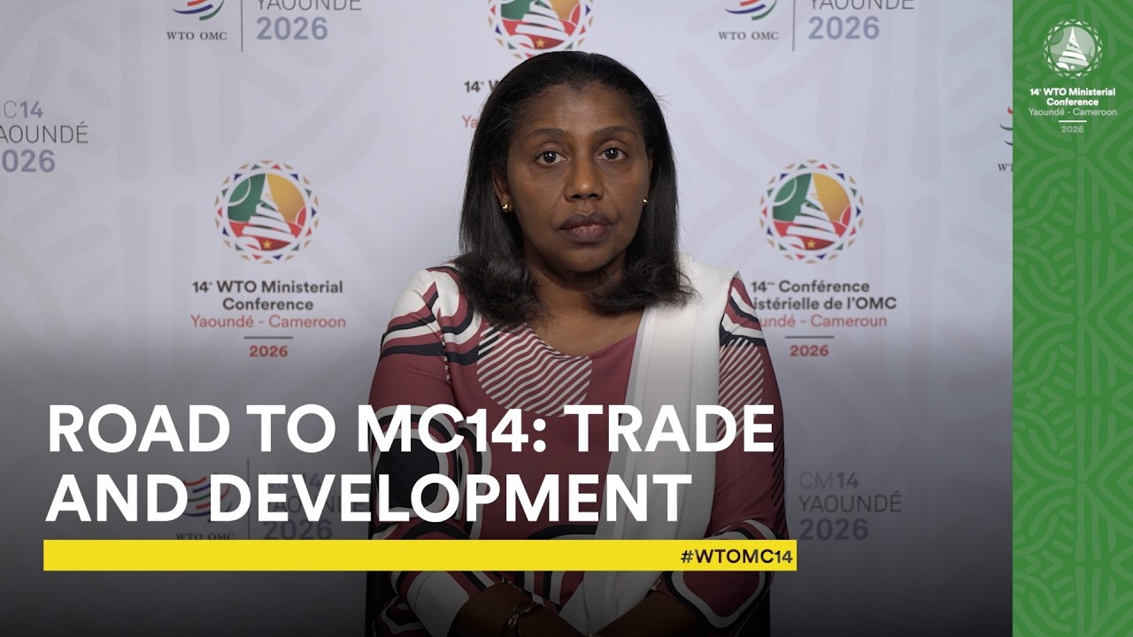 Road to MC14: trade and development