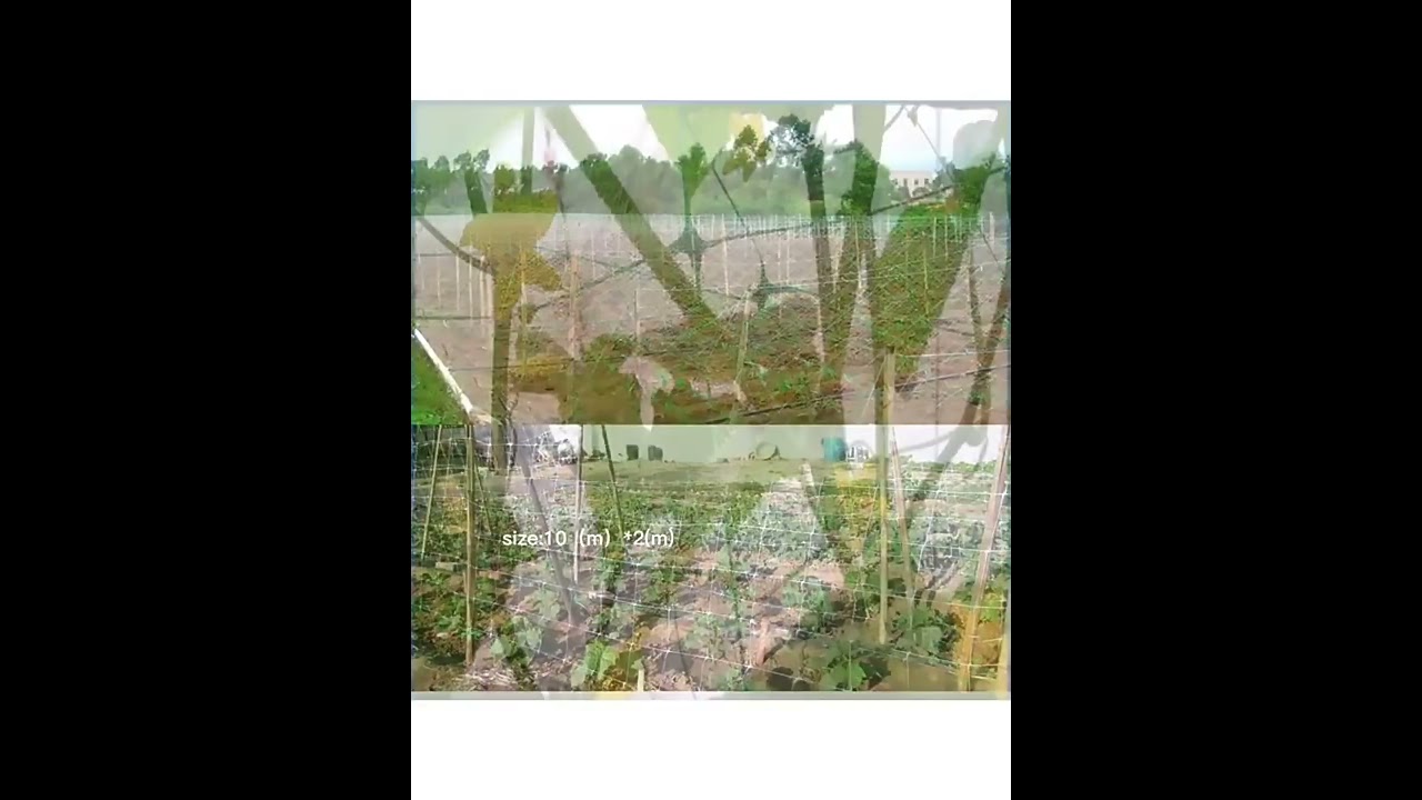 Heavy Duty Polyester customizable Plant Trellis Netting-Hefei Better Technology Co., Ltd