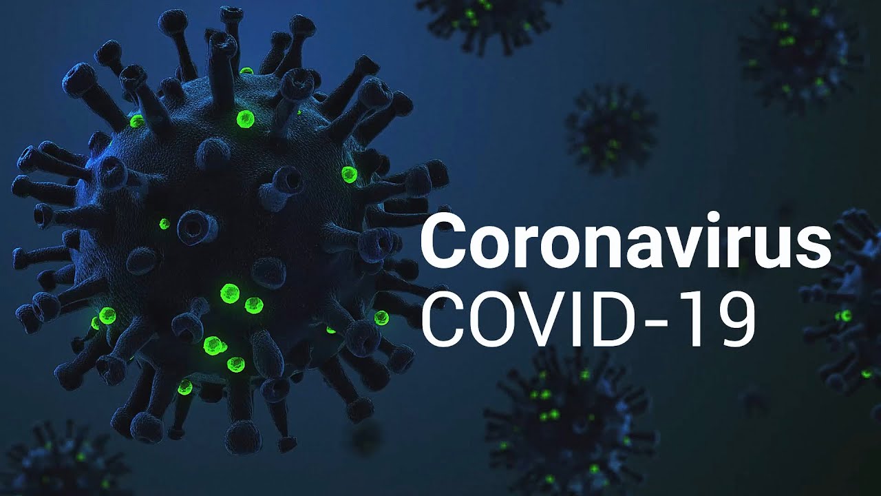 Coronavirus disease 2019 (COVID-19) overview using 3D Organon Anatomy